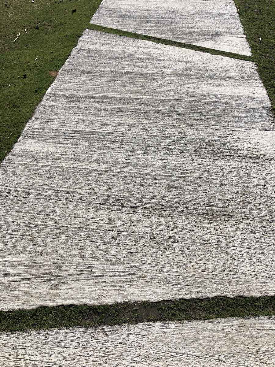 omgeving aaidierenweide