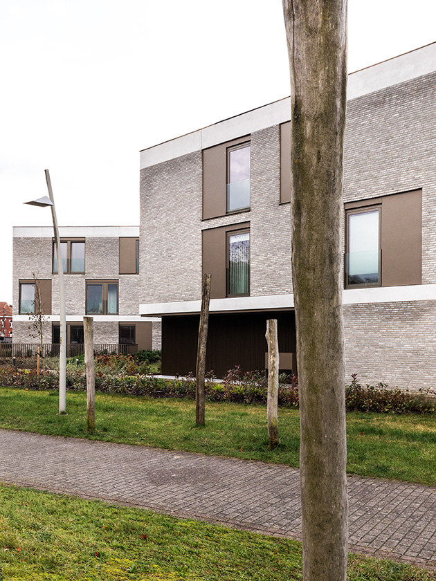 06 – Anguila-02 klein